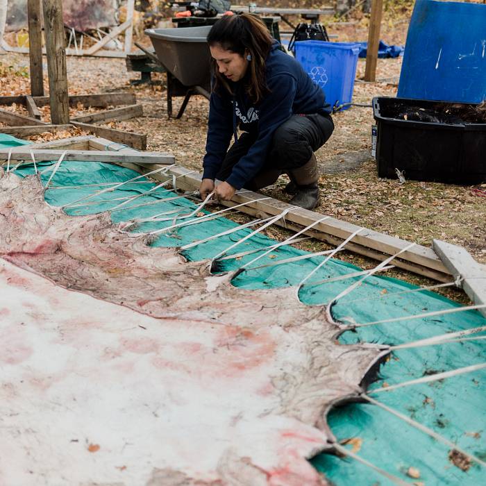 Teaser image for pahkêkinokêwin: Moose Hide Tanning